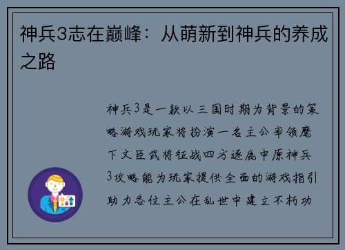 神兵3志在巅峰：从萌新到神兵的养成之路